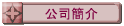 公司簡介